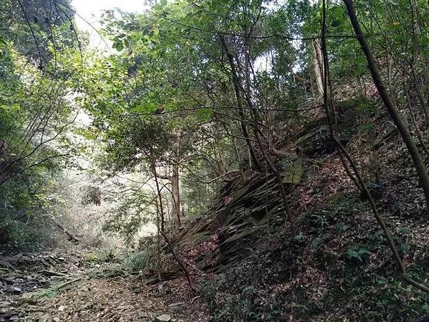 珠海8家国企重组,华发集团接手九洲控股